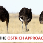 Screenshot 2020-08-02 at 4.23.09 PM